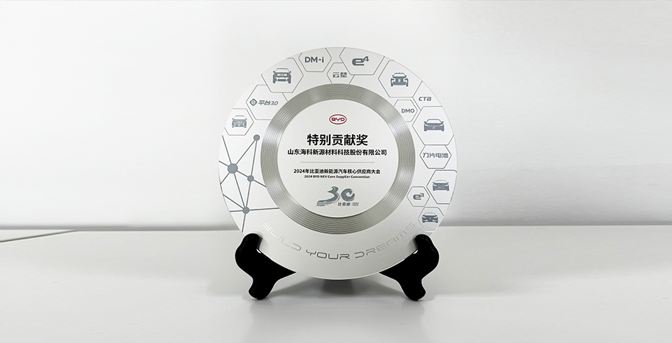 爱游戏体育（中国）官方网站-登录入口连续四年再度荣获比亚迪2024年“特别贡献奖”